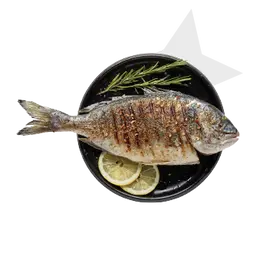Seafood
